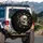 Skull Monarch Butterflies Tree Branches - Macabre Nature Decor Gift Spare Tire Cover - 3