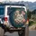 Cat Rose Garden - Home Decor Gift for Cat Lovers Spare Tire Cover - 3