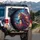 Majestic Horse Head Swirling Mane - Horse Lover Gift Spare Tire Cover - 3