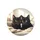 Curious Surprised Black Cat Pair Yellow Eyes - Pet Lover Gift Spare Tire Cover - 4