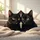 Curious Surprised Black Cat Pair Yellow Eyes - Pet Lover Gift Spare Tire Cover - 6