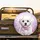 Maltese Puppy Dark Eyes Pink Checkered Bow Tie Flowers - Dog Lover Gift for Pet Owners Spare Tire Cover - 2