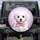 Maltese Puppy Dark Eyes Pink Checkered Bow Tie Flowers - Dog Lover Gift for Pet Owners Spare Tire Cover - 1