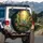 Red-Eyed Tree Frog Tropical Rainforest Golden Light Jungle Foliage Wildlife Lover Gift Spare Tire Cover - 3