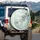 Eucalyptus Rich Floral Leaves Delicate Branches Natural Scene - Tranquil Nature Lover Gift Spare Tire Cover - 3