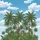Lush Tropical Palm Trees Cloud-Filled Blue Sky - Serene Outdoor Travel Essential Spare Tire Cover - 6