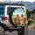 Happy Golden Retrievers Road Trip Sunglasses Palm Trees - Dog Lover Gift Spare Tire Cover - 3