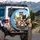 Expressive Cats in Sunglasses Driving Scenic Landscape - Cat Lover Travel Gift Spare Tire Cover - 3