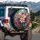 Vibrant Multi-Colored Lilies Bokeh Garden - Everyday Car Accessory Gift Spare Tire Cover - 3