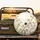 White Phalaenopsis Orchid Floral Blooms Green Buds - Botanical Home Decor Gift Spare Tire Cover - 2