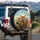 Adventurous Bengal Cats Excitement Journey - Road Trip Essential Cat Lover Gift Spare Tire Cover - 3