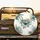 Sea Turtles Underwater Aquatic Foliage Coral Formations Star Flora - Ocean Life Lover Gift Spare Tire Cover - 2