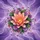 Orange Peach Water Lily Purple Daisy Flowers Green Foliage - Garden Lover Gift Spare Tire Cover - 6