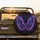 Open Symmetrical Feather Wings Mystical Home Decor Gift Spare Tire Cover - 2