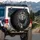 Male Lion Thick Mane Stride Glowing Eyes Smoke Jungle - Wildlife Lover Gift Spare Tire Cover - 3
