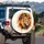 Majestic Lion Head Organic Shapes Burst - Wildlife Lover Gift for Lion Lover Spare Tire Cover - 3