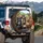 Four Dog Breeds Road Trip Car Cabin Rolling Hills - Pet Lover Gift Spare Tire Cover - 3