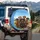 Eleven Dachshunds Outdoor Landscape - Adventure Gift for Dog Lovers Spare Tire Cover - 3