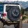 Raven Silhouettes on Twisted Thorny Thistle Branches - Wildlife Lover Gift for Bird Watcher Spare Tire Cover - 3