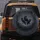 Raven Silhouettes on Twisted Thorny Thistle Branches - Wildlife Lover Gift for Bird Watcher Spare Tire Cover - 5