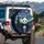 Panda Van Gogh Starry Night Swirling Celestial Sky - Wildlife Lover Gift Spare Tire Cover - 3
