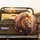 Proud Majestic Lion Profile Amber Eyes Vibrant Autumn Botanicals - Wildlife Lover Gift Spare Tire Cover - 2