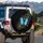 Blue Morpho Butterfly Swarm Night Sky - Wildlife Lover Gift Spare Tire Cover - 3