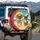 Pugs Watermelon Tropical Beach - Outdoor Travel Gift for Pug Lovers Spare Tire Cover - 3
