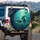 Water Lily Pads Stems Aquatic Sunlight - Home Decor Gift Spare Tire Cover - 3