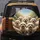 Bichon Frise Maltese Dogs Lush Greenery Sunlight - Dog Lover Gift Spare Tire Cover - 5