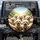 Bichon Frise Maltese Dogs Lush Greenery Sunlight - Dog Lover Gift Spare Tire Cover - 1