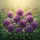 Dense Globular Purple Allium White Blossom Floral Garden - Garden Lover Gift Spare Tire Cover - 6