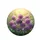 Dense Globular Purple Allium White Blossom Floral Garden - Garden Lover Gift Spare Tire Cover - 4