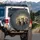 Playful Vocal Expressive Tabby Cat Trio Warm Glow Slate Gray - Cat Lover Gift Spare Tire Cover - 3