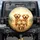 Golden Retriever Puppies Dogs Group Sunlit Outdoor Landscape Adventure - Dog Lover Gift Spare Tire Cover - 1