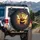 Bee Character Honeycomb Blue Eyes Smile - Home Decor Gift for Bee Lover Spare Tire Cover - 3