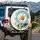 White Daisy Yellow Center Green Leaf Daisy Bud Sky Blue Teal Cream Field - Garden Lover Gift Spare Tire Cover - 3
