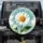 White Daisy Yellow Center Green Leaf Daisy Bud Sky Blue Teal Cream Field - Garden Lover Gift Spare Tire Cover - 1