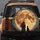 Mysterious Woman Black Cat Harvest Moon Autumn Branches - Outdoor Decor Gift for Cat Lovers Spare Tire Cover - 5