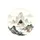duiyfppz/products/6a1f0056ab2e3816ebb1f01b/gallery/u4k8Q8EVeq