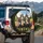 Curious Friendly Donkeys Countryside Scene - Farmhouse Decor Gift for Donkey Lover Spare Tire Cover - 3
