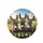 Curious Friendly Donkeys Countryside Scene - Farmhouse Decor Gift for Donkey Lover Spare Tire Cover - 4