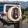Catrina Sugar Skull Woman Red Roses - Day of the Dead Celebration Spare Tire Cover - 3