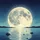 Star Dusted Night Sky Full Moon Water Reflection - Travel Essentials Spare Tire Cover - 6