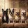 Four Happy French Bulldogs Plush Interior - Dog Lover Auto Accessory Gift Spare Tire Cover - 6