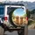 Golden Retriever Dog Pack Sunlit Foliage Sky - Dog Lover Gift Spare Tire Cover - 3