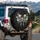 Translucent Moth Roses Celestial Night Sky - Nature Lover Gift for Outdoor Enthusiast Spare Tire Cover - 3