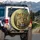 Majestic Leopard Blue Eyes Golden-Brown Fur Jungle - Wildlife Lover Home Decor Gift Spare Tire Cover - 3