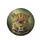 Majestic Leopard Blue Eyes Golden-Brown Fur Jungle - Wildlife Lover Home Decor Gift Spare Tire Cover - 4