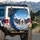 Five Pitbull Staffordshire Panting Dogs Group Portrait Blue Sky Clouds - Dog Lover Gift Spare Tire Cover - 3